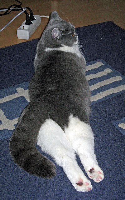 体育产业创新发展方向,体育产业科技创新